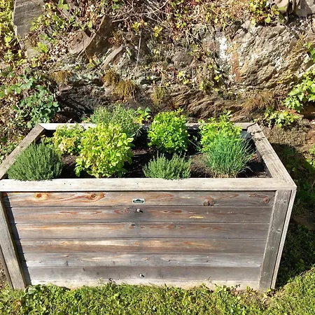 Ferienhaus בית נופש *